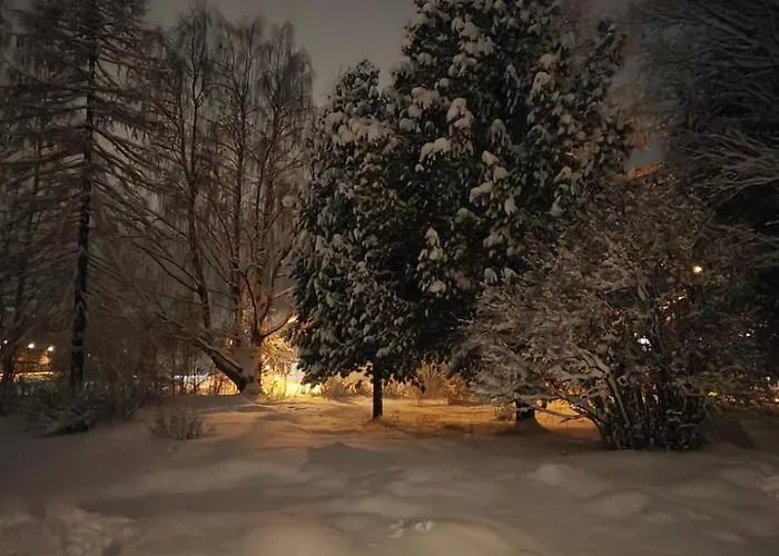 度假居 Atelier Torppa